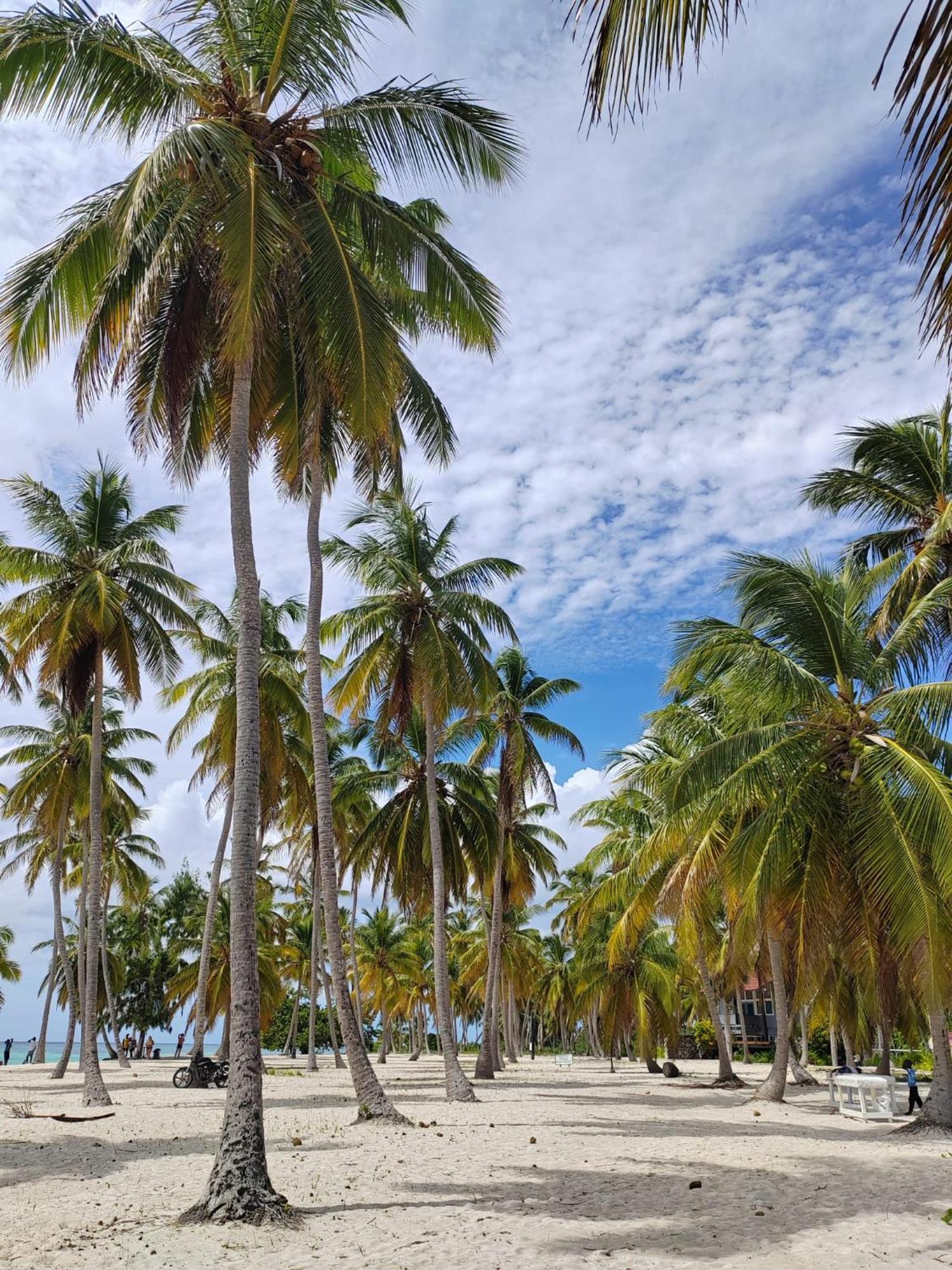 Casa Rural El Paraiso De Saona Mano Juan Exteriér fotografie